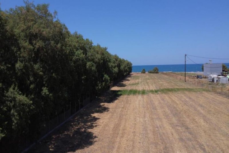 Tavronitis Kreta, Tavronitis: Erstklassiges Strandgrundstück mit malerischem Meerblick zu verkaufen Grundstück kaufen